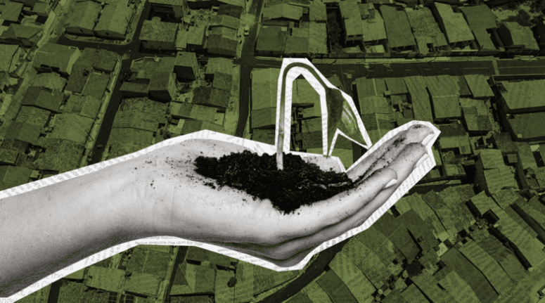 25.04 Materia arborizacao CAPA 2 3 - Sergipe é o estado com menos ruas arborizadas do país, revela IBGE
