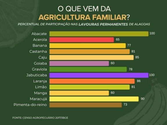 Sol que alimenta 3 Agricultura familiar lavouras permanentes 1 - Sol que alimenta