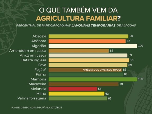 Sol que alimenta 4 Agricultura familiar lavouras temporarias - Sol que alimenta