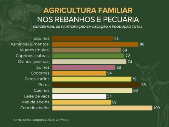 Sol que alimenta 5 Agricultura familiar rebanhos - Sol que alimenta