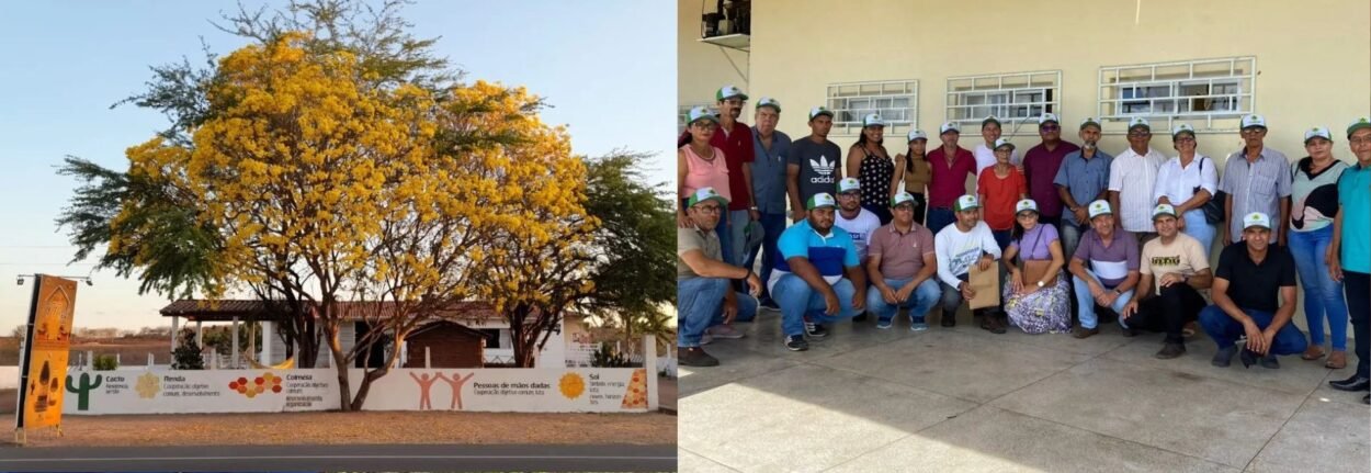 Cooperativa no Sertao - Boom do mel em Alagoas