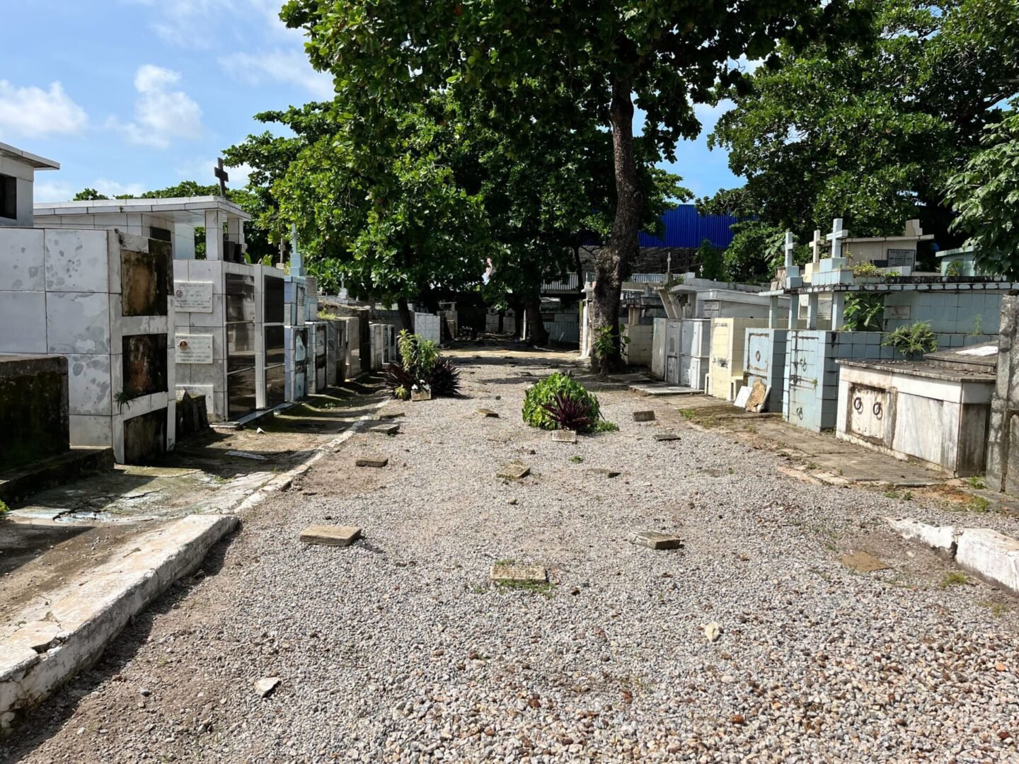 Após denúncia da Agência Tatu ao MP, Prefeitura envia dados sobre cemitérios públicos de Maceió 5 Imagem de covas rasas no cemitério público de maceió, São José.