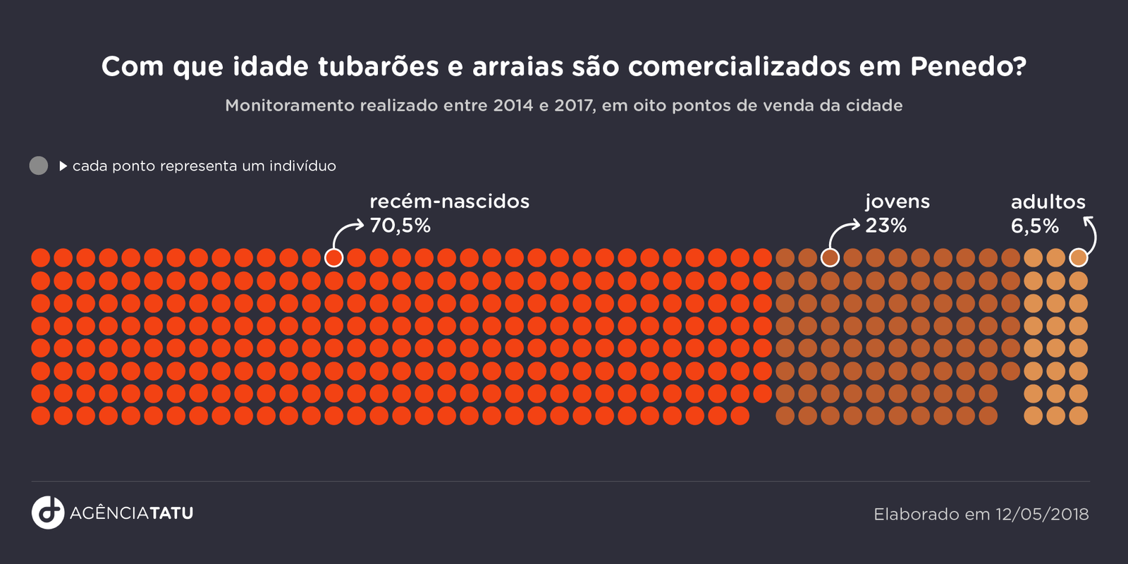 Predador em perigo: Tubarões ameaçados sofrem com mutilações de nadadeiras no Sul de AL 14 gráfico idade tub - Predador em perigo: Tubarões ameaçados sofrem com mutilações de nadadeiras no Sul de AL