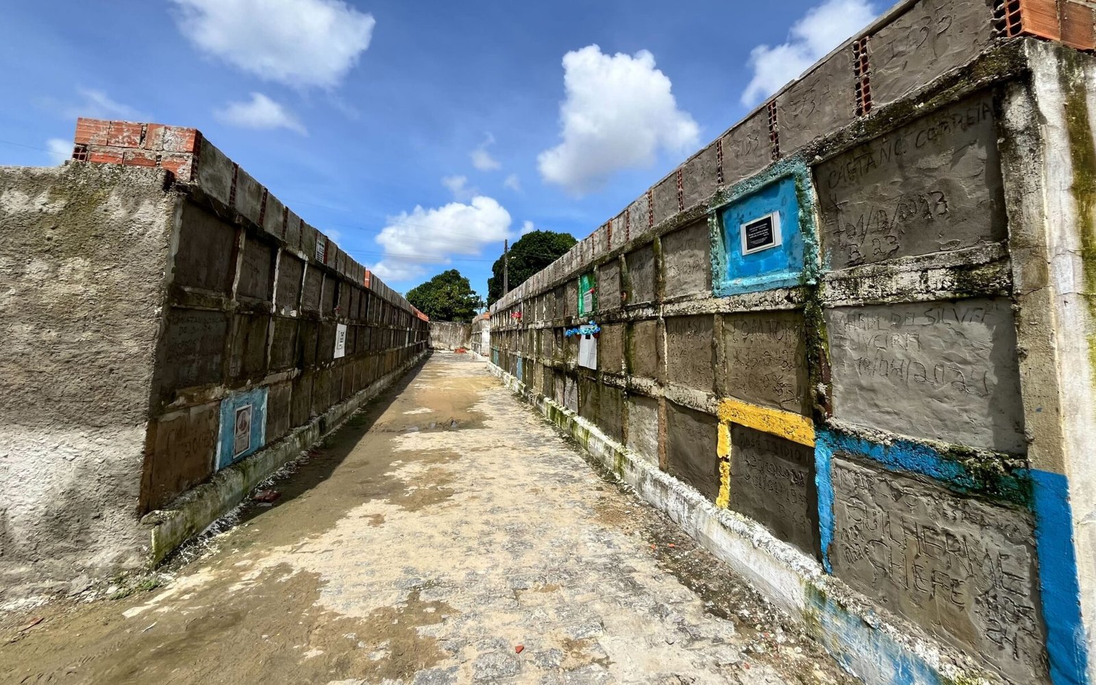 Após denúncia da Agência Tatu ao MP, Prefeitura envia dados sobre cemitérios públicos de Maceió 9 Imagem de gavetas em cemitério público de Maceió.