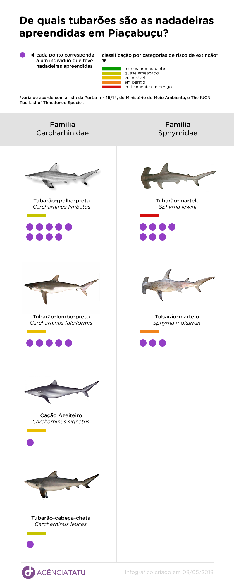 Predador em perigo: Tubarões ameaçados sofrem com mutilações de nadadeiras no Sul de AL 12 infográfico tub - Predador em perigo: Tubarões ameaçados sofrem com mutilações de nadadeiras no Sul de AL
